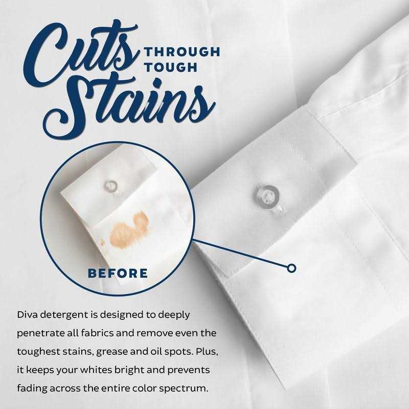 Tyler Diva Glamorous Wash Laundry Detergent 1 Gallon With Olivi Stain Remover Pen - Image 5