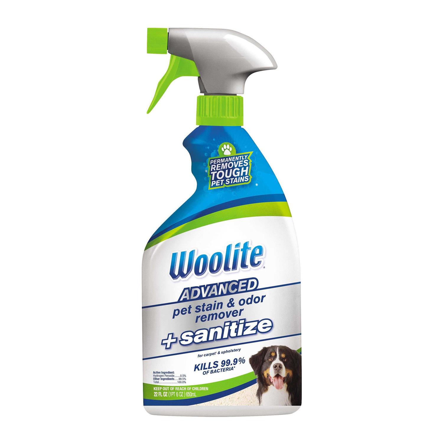 Woolite Advanced Pet Stain & Odor Remover + Sanitize