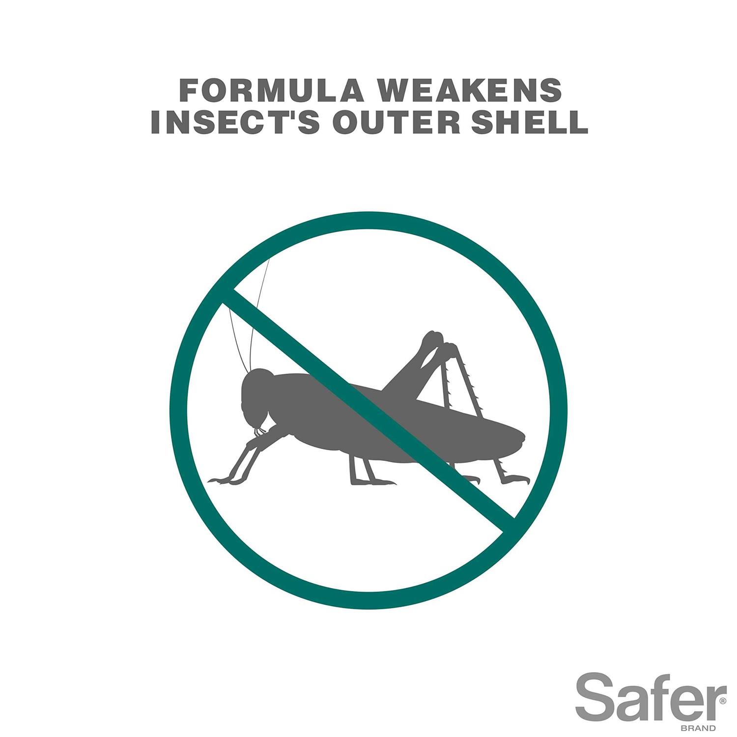Safer Insect Killing Soap - Image 2