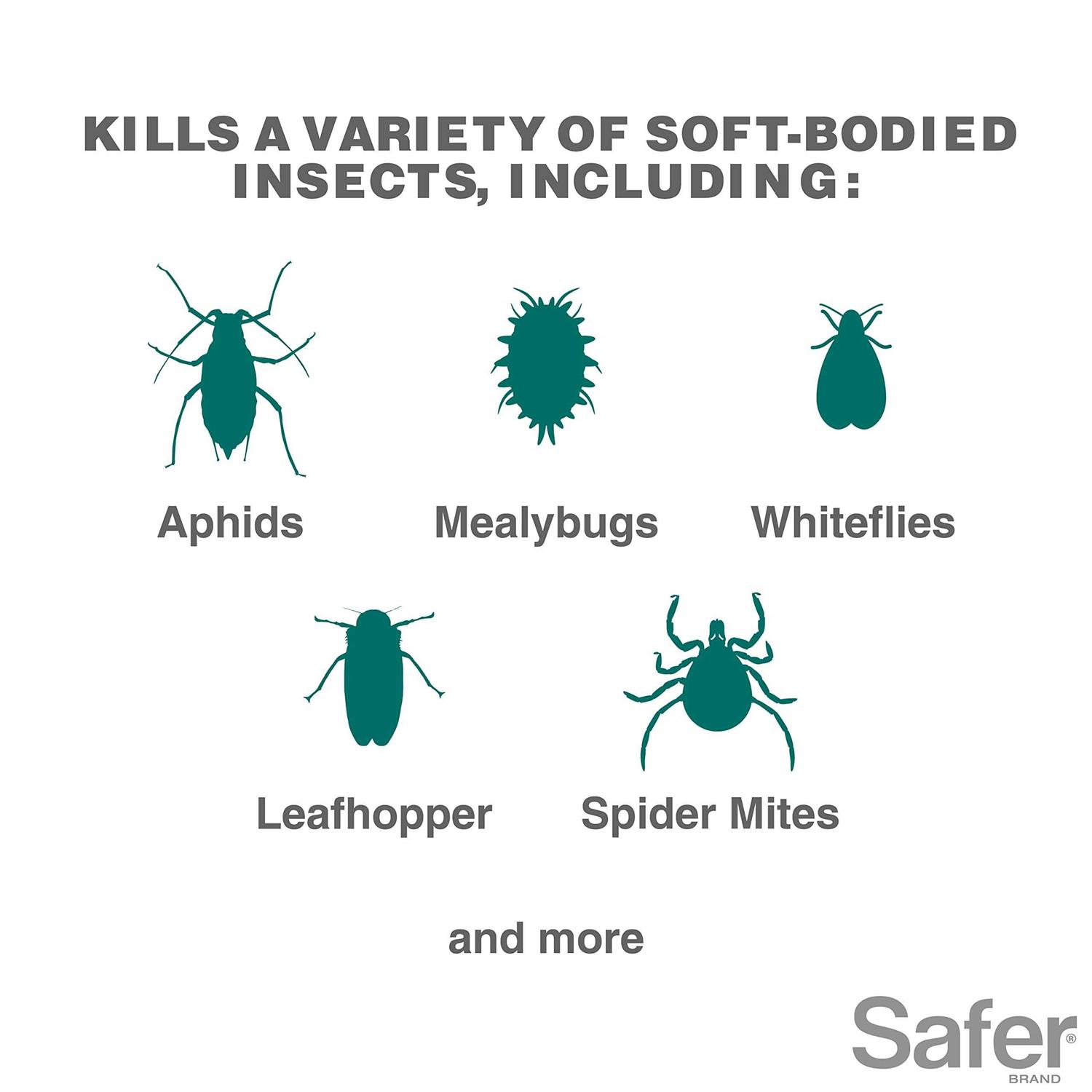 Safer Insect Killing Soap - Image 4