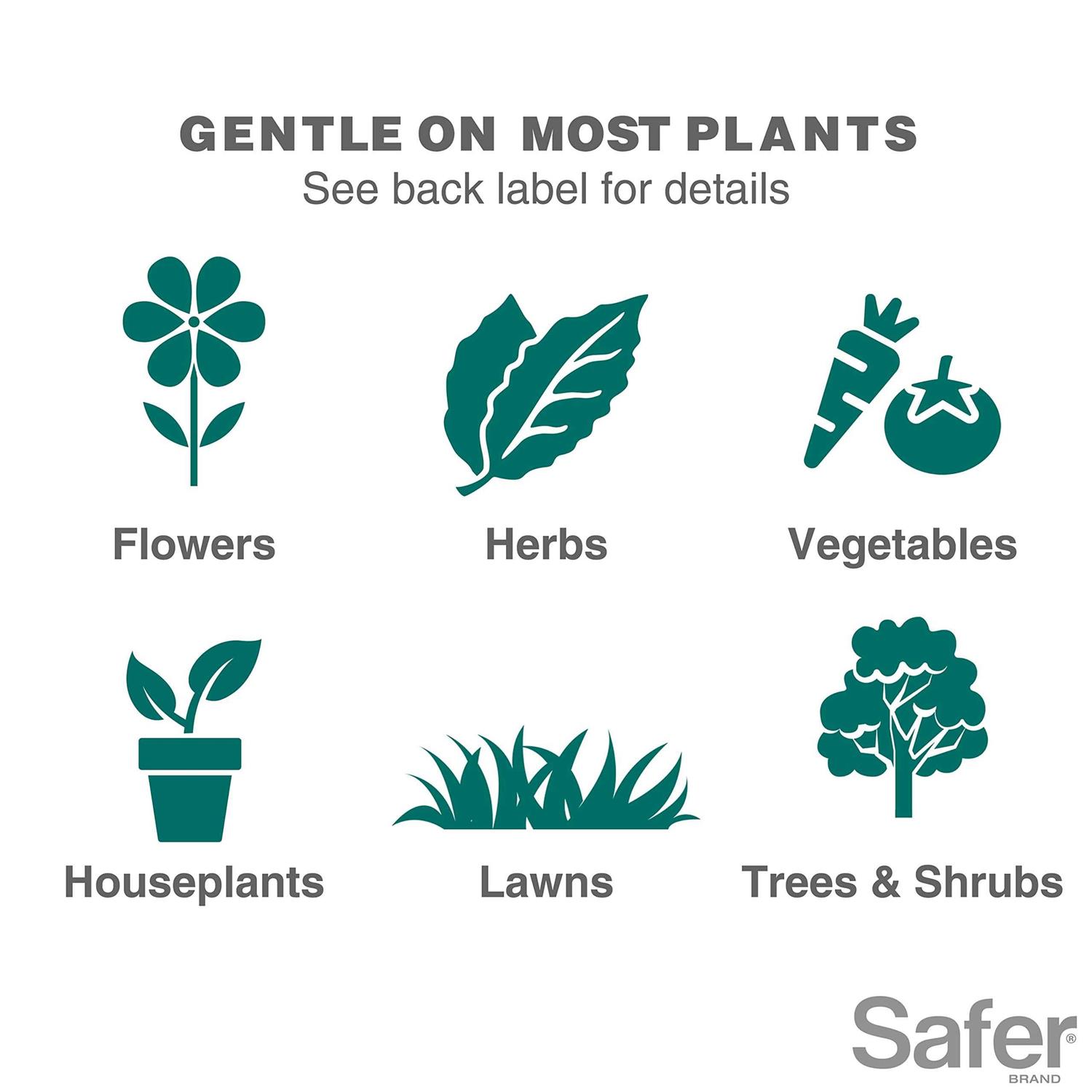 Safer Insect Killing Soap - Image 5