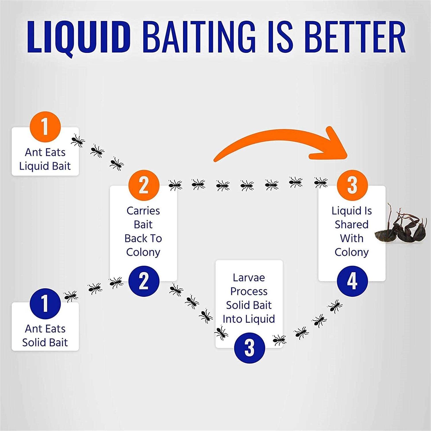 Terro Liquid Ant Killer - Image 3