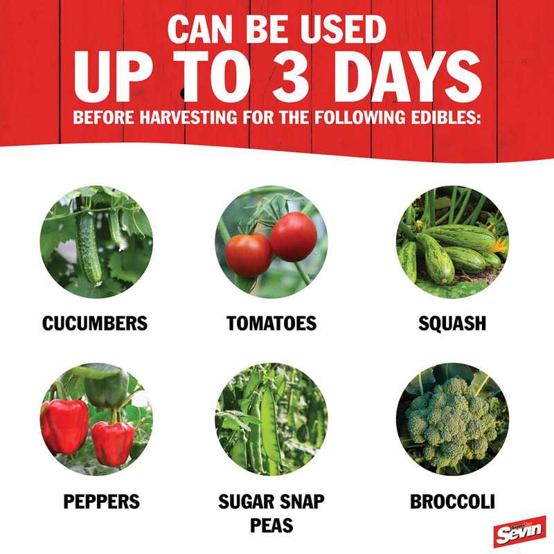 Sevin GardenTech Insect Killer 5% Dust - Image 5