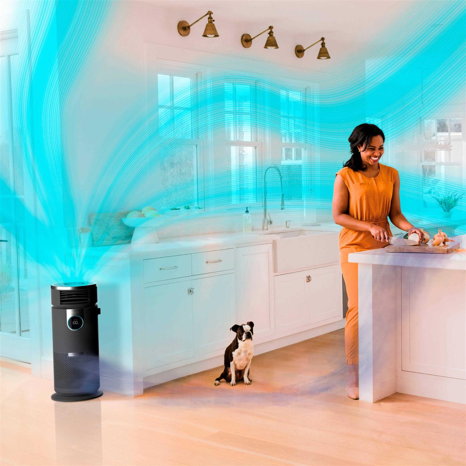 Shark 3-in-1 Air Purifier Heater & Fan with NanoSeal HEPA - Image 5