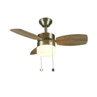 Triplicity 30 in. Indoor Ceiling Fan with Light