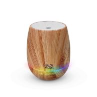 Woodsy Ultrasonic Aromatherapy Diffuser by Gurunanda