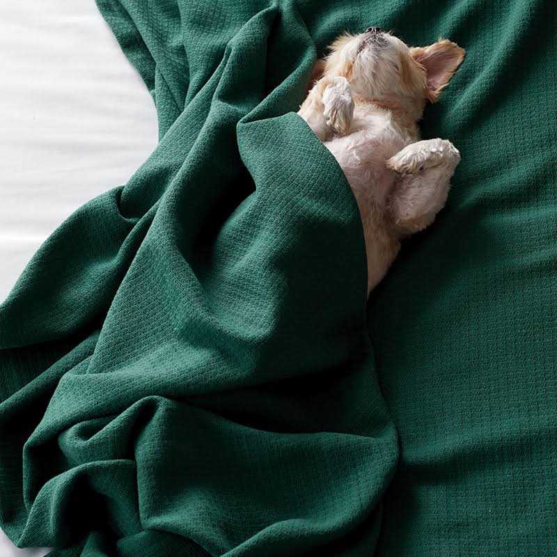 The Company Store Cotton Weave Blanket - Image 3