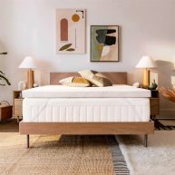 Tempur-Pedic Tempur Topper