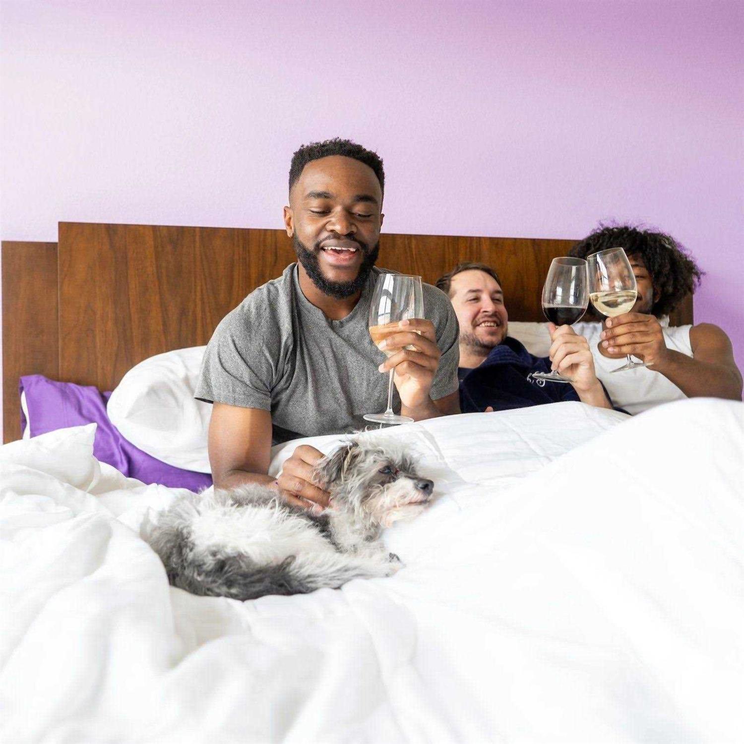 Sheets & Giggles Eucalyptus Lyocell Comforter - Image 3