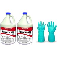 Sunbelt Chemicals 1 Gallon Muriatic Acid