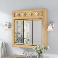 Winston Porter 7416277E9C844A4F8B3485673CF63F42 Searle Medicine Cabinet Lighted Bathroom Wall Cabinet with Mirrored Doors