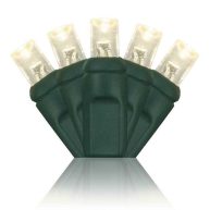 Wintergreen Lighting 70 Christmas LED Lights