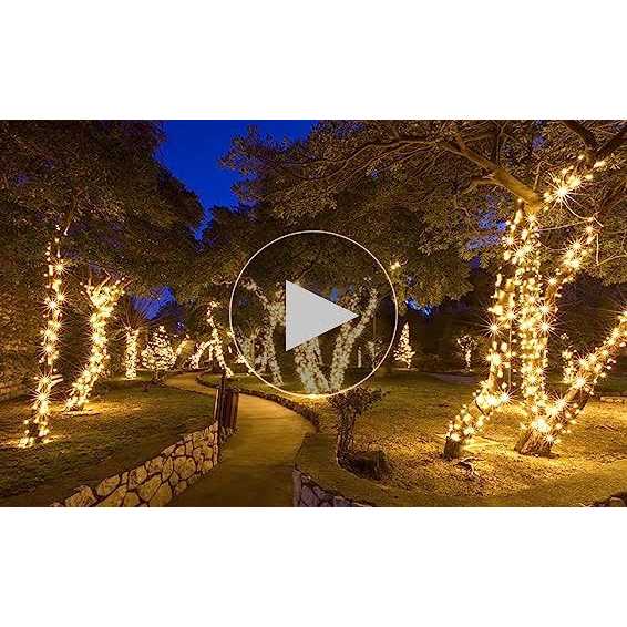 Wintergreen Lighting 70 Light String LED Lights - Image 3