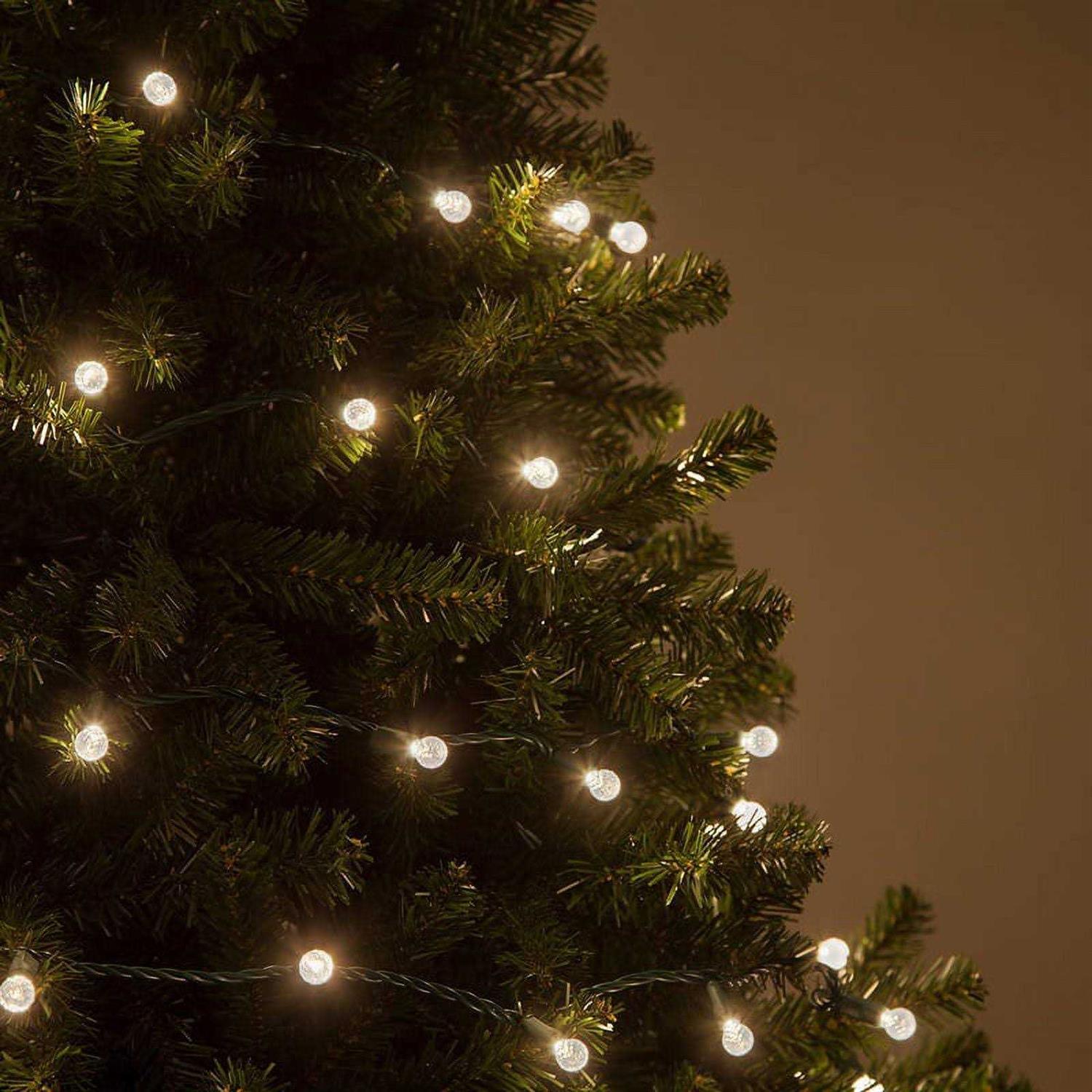 Wintergreen Lighting 70 Light String LED Lights - Image 4