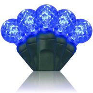 Wintergreen Lighting 70 Light String LED Lights