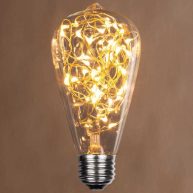 ST64 120V LEDimagine TM Fairy Light Bulb