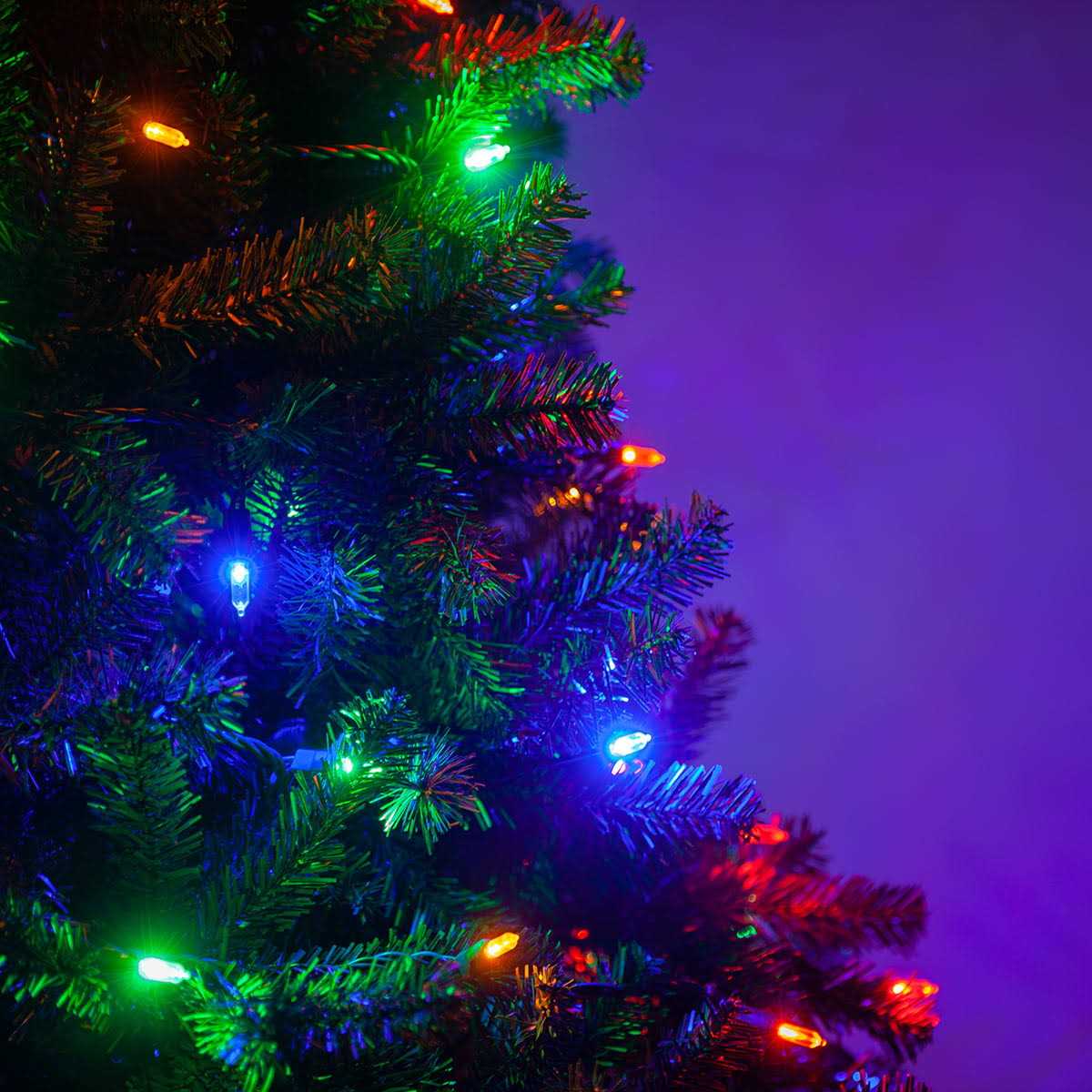 Wintergreen Lighting LED Christmas Tree Lights T5 Mini Lights - Image 2