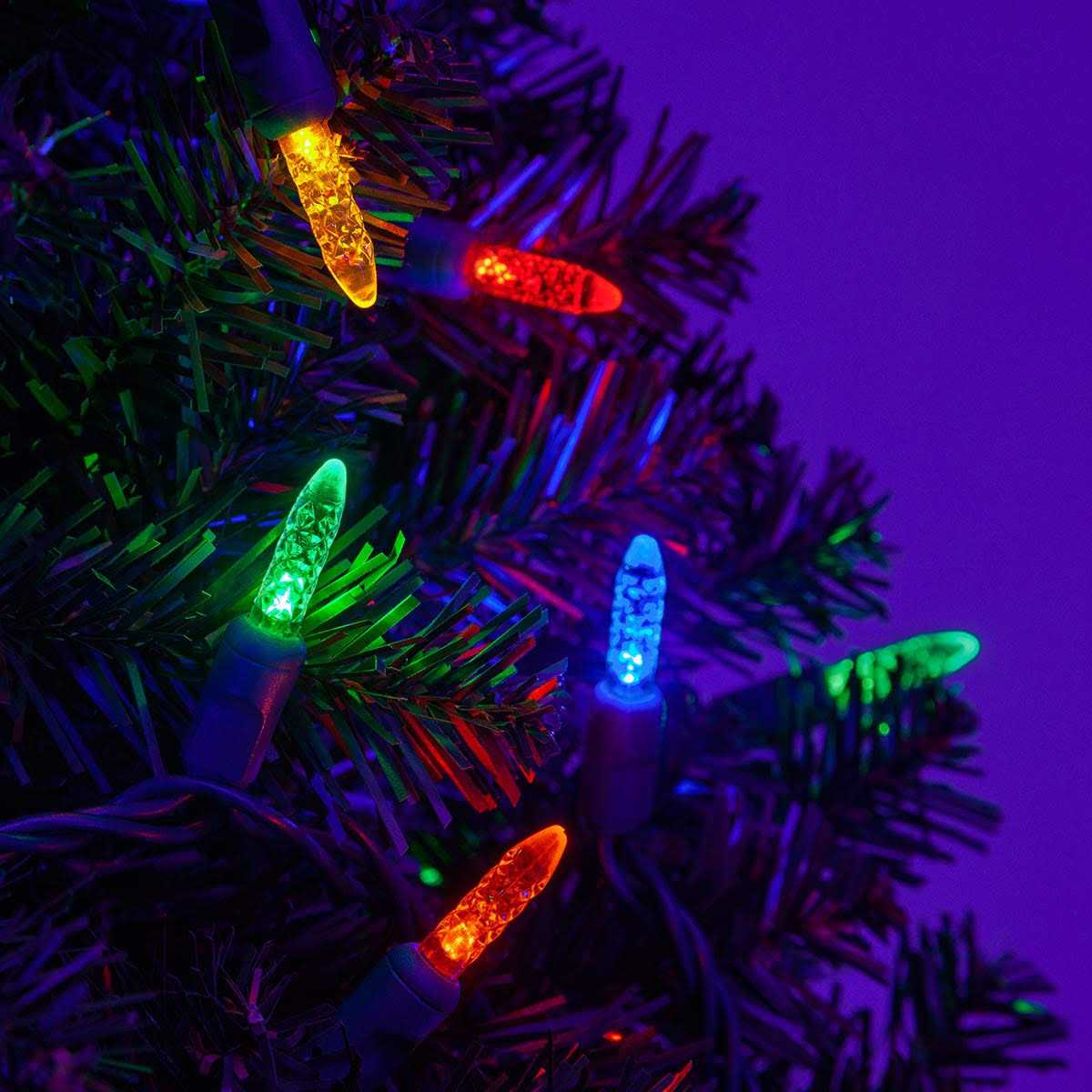 Wintergreen Lighting LED Christmas Tree Lights T5 Mini Lights - Image 4