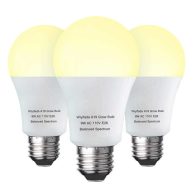 Wiyifada 3 Pack Grow Light Bulb Indoor Grow Light,A19 Full Spectrum Plant Light Bulb,E26 110V 9W Grow Bulb Replace up to 100W