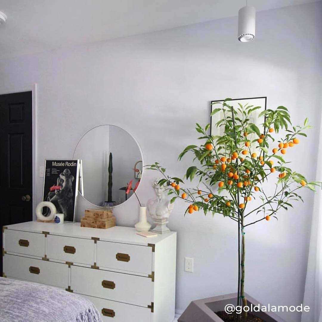 Soltech Aspect LED Growlight - Image 3