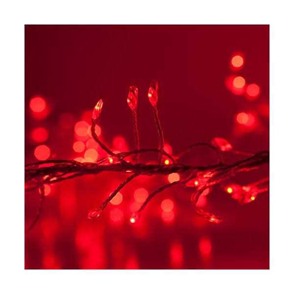 Wintergreen Lighting LED Cluster String Lights - Image 3