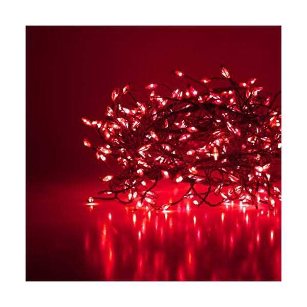 Wintergreen Lighting LED Cluster String Lights - Image 5