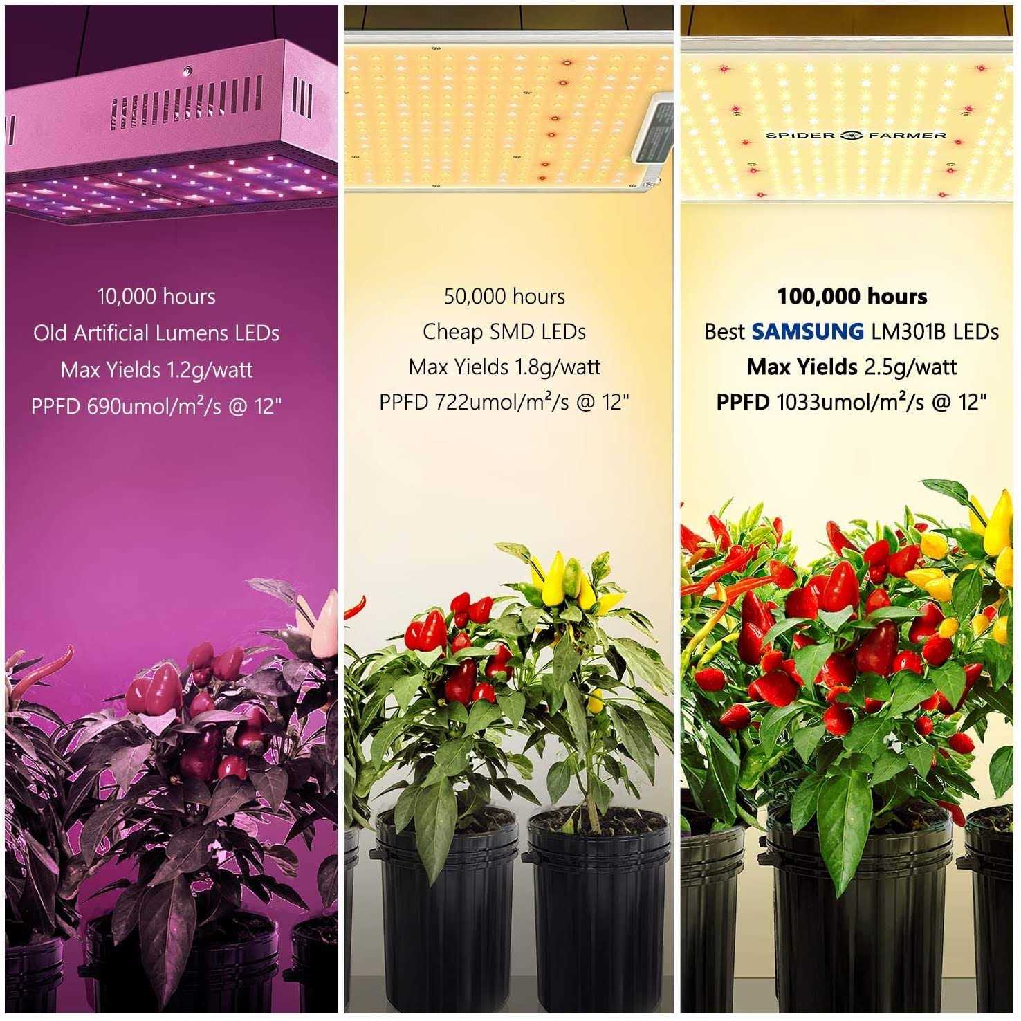 Spider Farmer SF Series LED Grow Light - Image 3