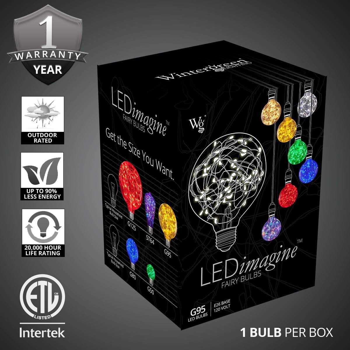 Wintergreen Lighting G95 120V LEDimagine TM Fairy Light Bulb - Image 4