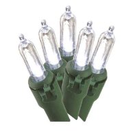 Winter Wonder Lane LED Mini Light Set