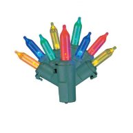 Winter Wonder Lane LED Mini Light Set