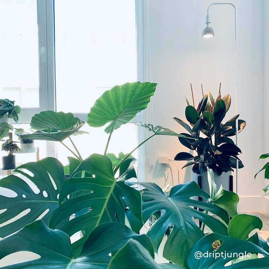 Soltech Vita Grow Light - Image 4