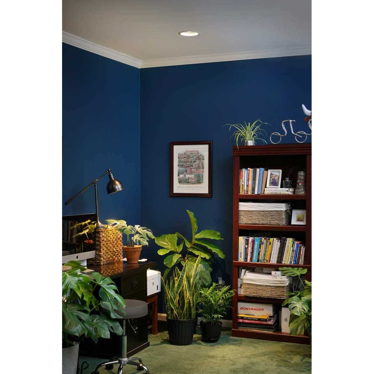 Soltech Vita Grow Light - Image 5