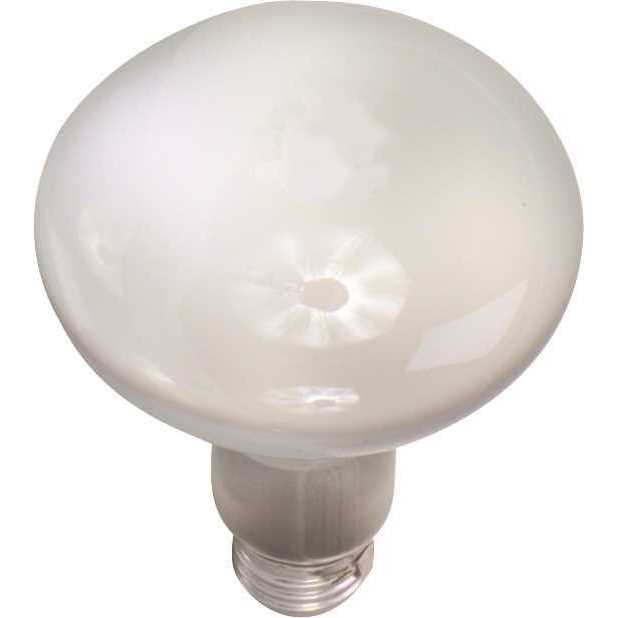 Satco S8519 Incandescent R20 - Image 3