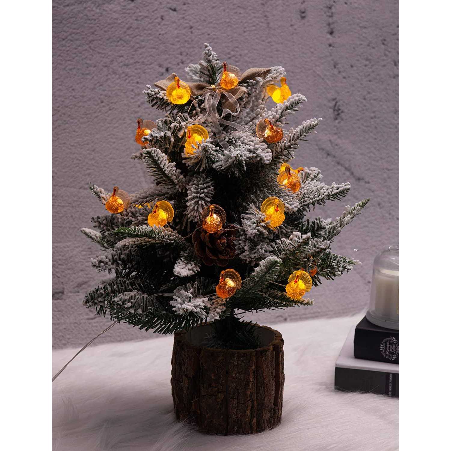 U.i Station Thanksgiving Turkey String Lights for Fall Harvest Theme - Image 2