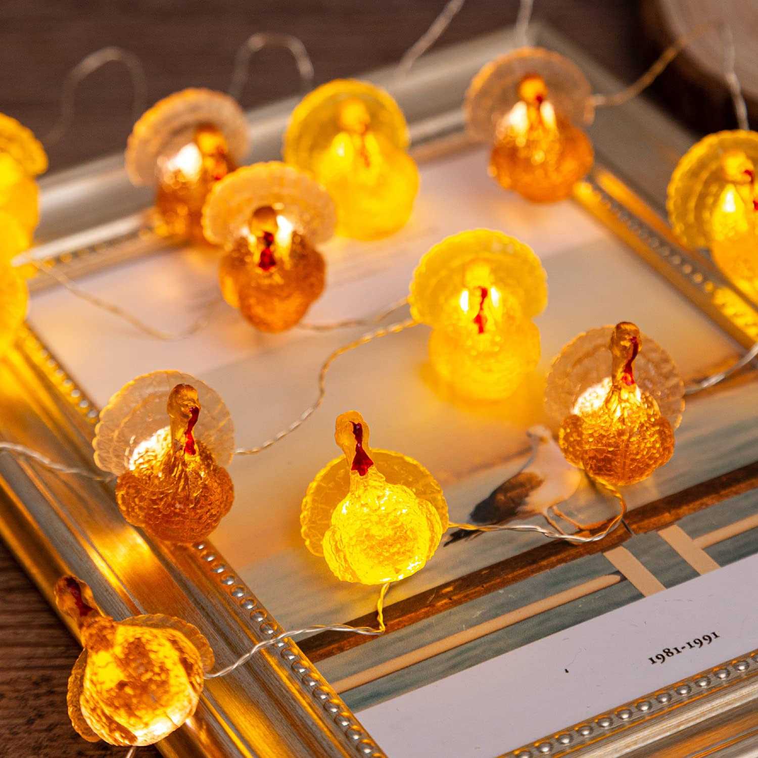 U.i Station Thanksgiving Turkey String Lights for Fall Harvest Theme - Image 4