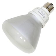 Westinghouse 3797000 Floodlamp