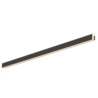 Svelte Outdoor Linear Wall Lamp