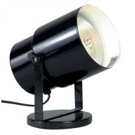 Satco 77 Spot Light