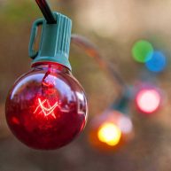 Wintergreen Lighting Commercial String Lights