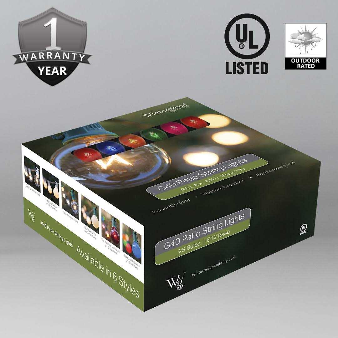 Wintergreen Lighting Commercial String Lights - Image 4