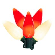 Vickerman 25 Ceramic C9 LED Light on Green 22awg Wire