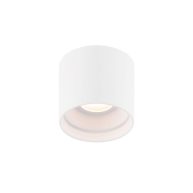 WAC Lighting Downtown LED Outdoor Flush Mount FM-W47205