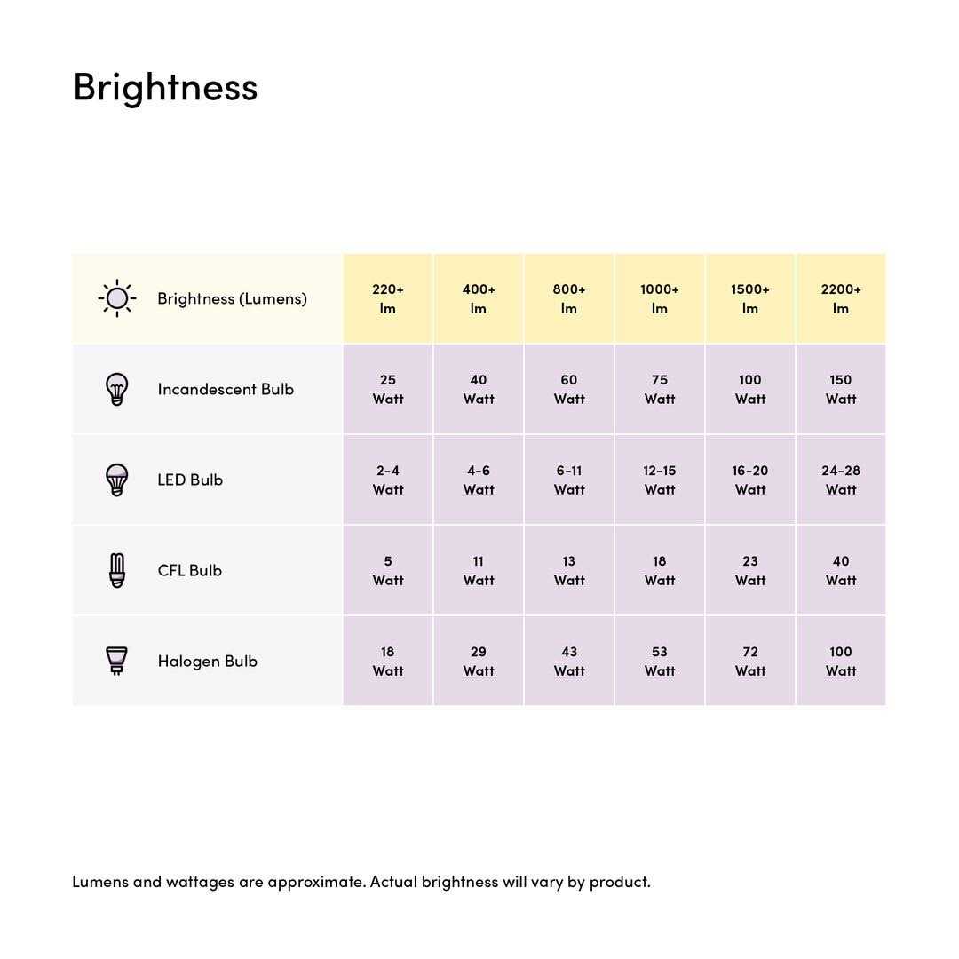 Wintergreen Lighting G80 120V LEDimagine TM Fairy Light Bulb - Image 2
