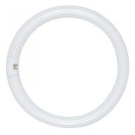 Satco S6505 Fluorescent Circline T9