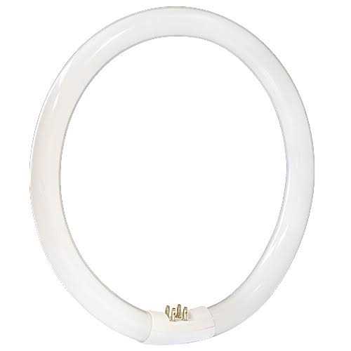 Satco S6505 Fluorescent Circline T9 - Image 4