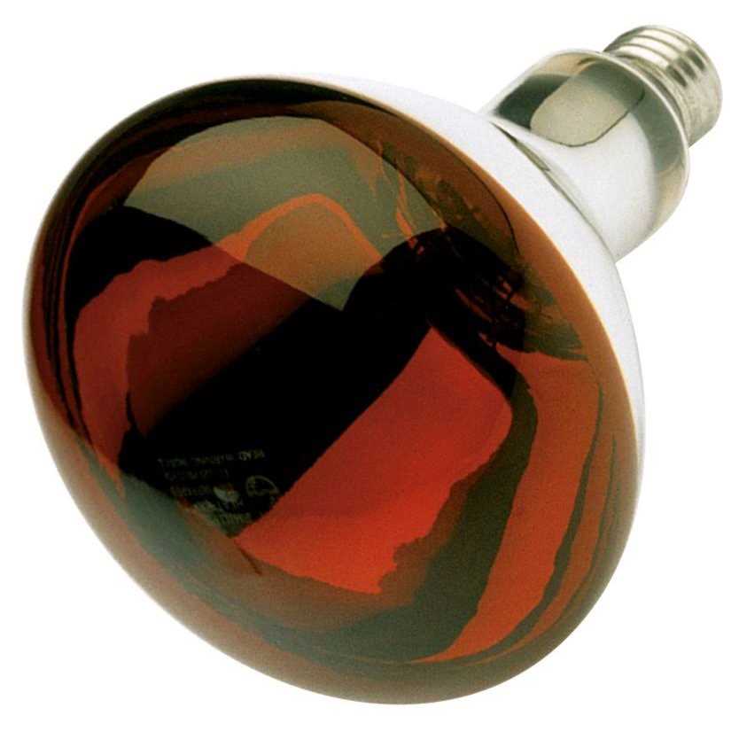 Satco S4998 R40 Heat Lamp Bulb - Image 3
