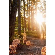 Terrain Stargazer Illuminated Led Vine Sphere