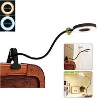 W-LITE DINGLILIGHTING DLLT LED USB Reading Light Clip Laptop Lamp for Book,Piano,Bed Headboard,Desk