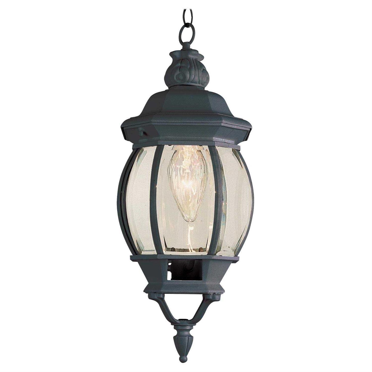 Trans Globe 4065 1 Light Hanging Lantern - Image 2