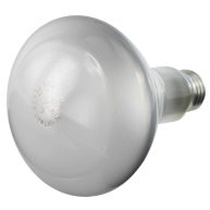Sylvania 15165 65BR30/FL-120V Lamp